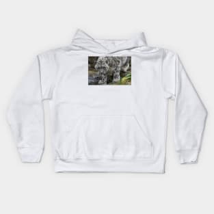 snow leopard looking for food running down a rocky hillside Kids Hoodie